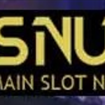 PPSNUSA Login Judi Slot Habanero Anti Rungkad Aman Resmi